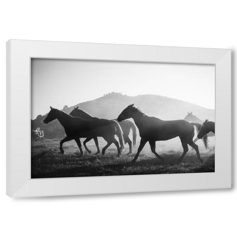 Horses head for the Corral-Riverside-Wyoming White Modern Wood Framed Art Print by Highsmith, Carol