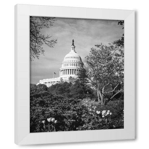 Capitol Hill-Washington D.C. White Modern Wood Framed Art Print by Highsmith, Carol
