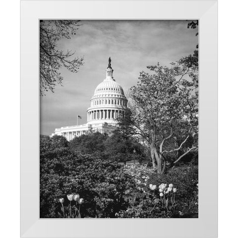 Capitol Hill-Washington D.C. White Modern Wood Framed Art Print by Highsmith, Carol