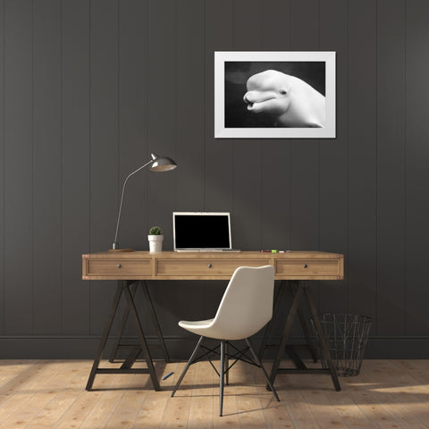 Beluga Whale White Modern Wood Framed Art Print by Highsmith, Carol