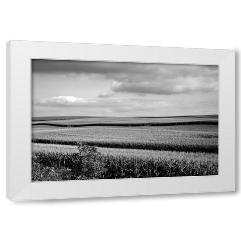 Rural Wisconsin White Modern Wood Framed Art Print by Highsmith, Carol
