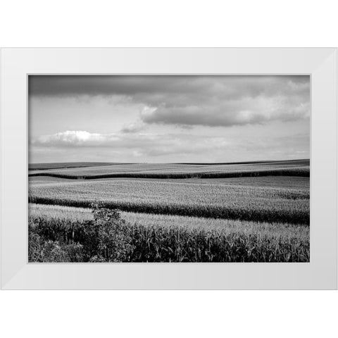 Rural Wisconsin White Modern Wood Framed Art Print by Highsmith, Carol