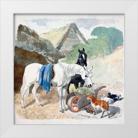 Two Horses Eating From a Wheel-Barrow Watched by a Goat and Three Ducks White Modern Wood Framed Art Print by Herring, John Frederick