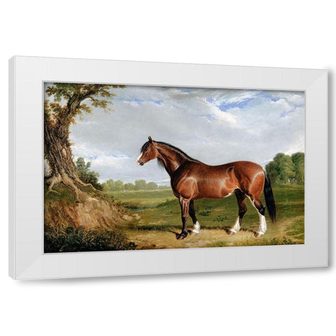 A Clydesdale Stallion White Modern Wood Framed Art Print by Herring, John Frederick
