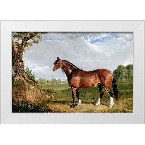 A Clydesdale Stallion White Modern Wood Framed Art Print by Herring, John Frederick