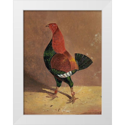 Fighting Cocks-a Dark-Breasted Fighting Cock-Facing Left White Modern Wood Framed Art Print by Herring, John Frederick