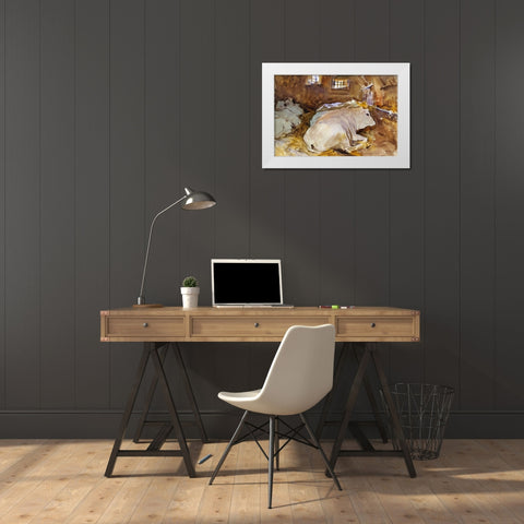 Oxen White Modern Wood Framed Art Print by Sargent, John Singer