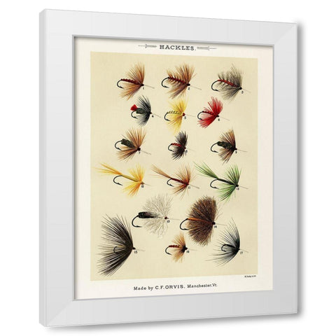 Hackles from Favorite Flies and Their Histories White Modern Wood Framed Art Print by Marbury, Mary Orvis