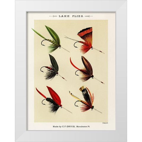 Lake Fishing Flies IV from Favorite Flies and Their Histories White Modern Wood Framed Art Print by Marbury, Mary Orvis