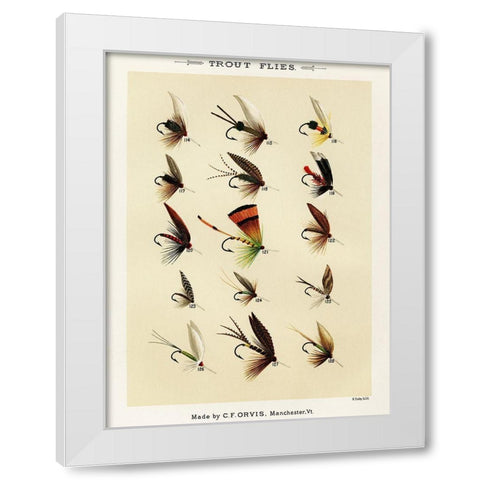 Trout Fishing Flies VIII from Favorite Flies and Their Histories White Modern Wood Framed Art Print by Marbury, Mary Orvis