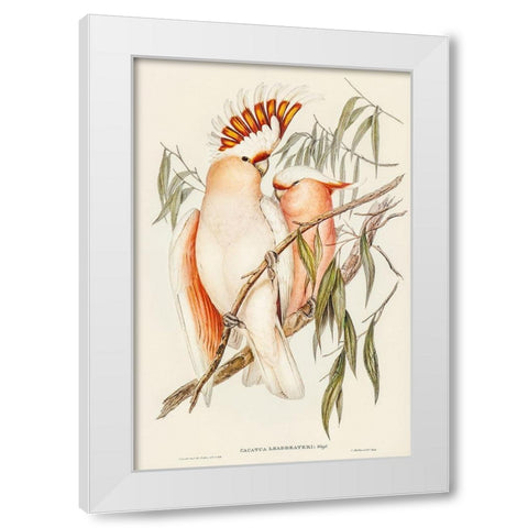Leadbeaters Cockatoo-Cacatua Leadbeaterii White Modern Wood Framed Art Print by Gould, John