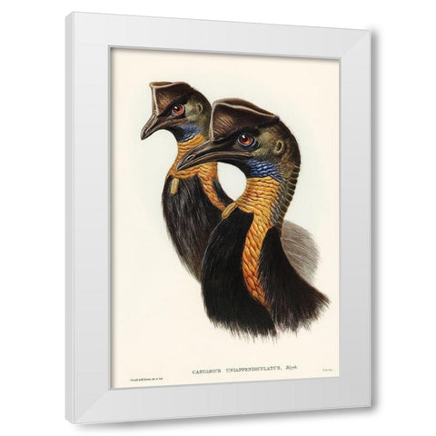 One-carunculated Cassowary-Casuarius uniappendiculatus White Modern Wood Framed Art Print by Gould, John