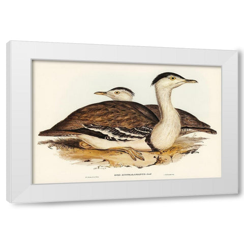 Australian Bustard-Otis Australasianus White Modern Wood Framed Art Print by Gould, John