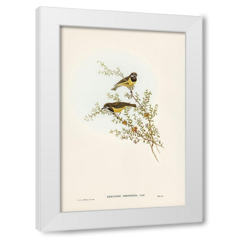 Masked Gerygone-Gerygone personata White Modern Wood Framed Art Print by Gould, John