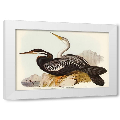 New Holland Darter-Plotus Novae-Hollandiae White Modern Wood Framed Art Print by Gould, John