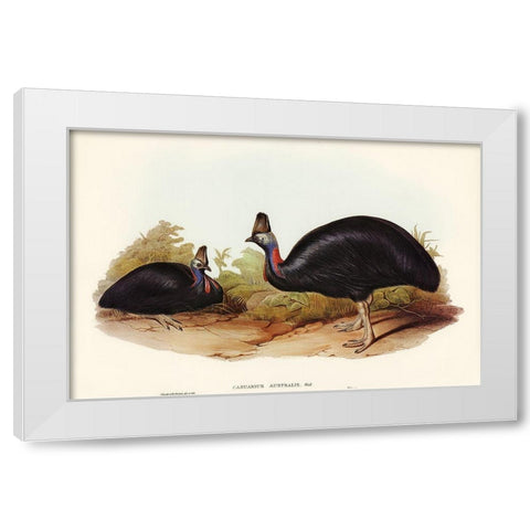 Australian Cassowary-Casuarius australis White Modern Wood Framed Art Print by Gould, John
