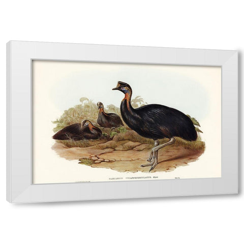 One-carunculated Cassowary-Casuarius uniappendiculatus White Modern Wood Framed Art Print by Gould, John