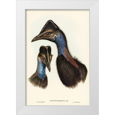 Bennetts Cassowary-Casuarius Bennetti White Modern Wood Framed Art Print by Gould, John