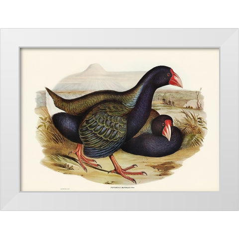 Notornis-Notornix Mantelli White Modern Wood Framed Art Print by Gould, John