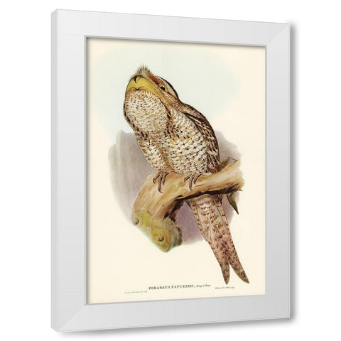 Papuan Podargus-Podargus Papuensis White Modern Wood Framed Art Print by Gould, John
