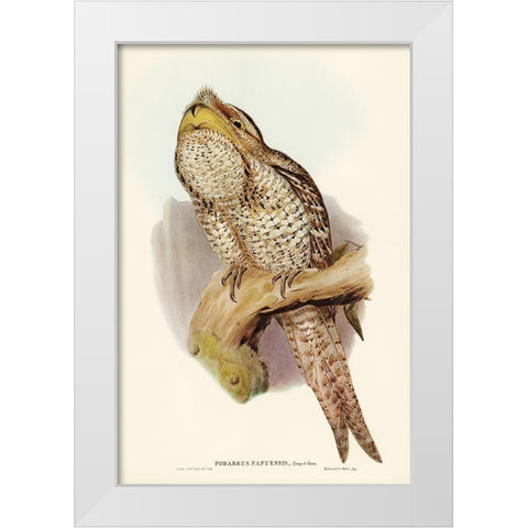 Papuan Podargus-Podargus Papuensis White Modern Wood Framed Art Print by Gould, John