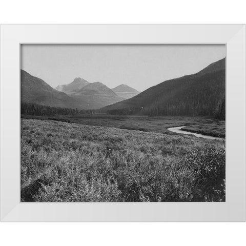 Head of Bear River-Wyoming White Modern Wood Framed Art Print by OSullivan, Timothy H