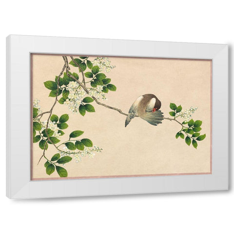 Preening Bird White Modern Wood Framed Art Print by Ruoai, Zhang