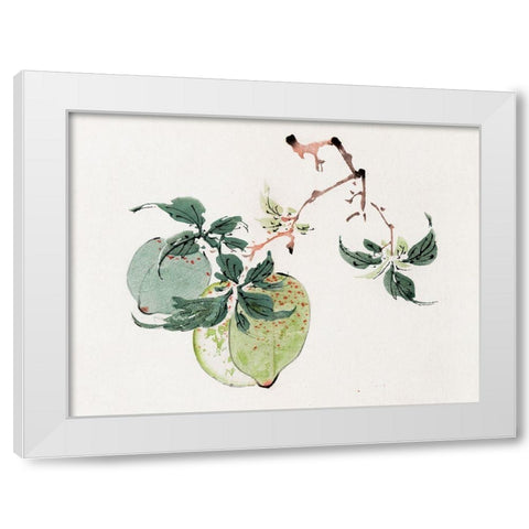 Page from Shi Zhu Zhai Green Fruit White Modern Wood Framed Art Print by Zhengyan, Hu