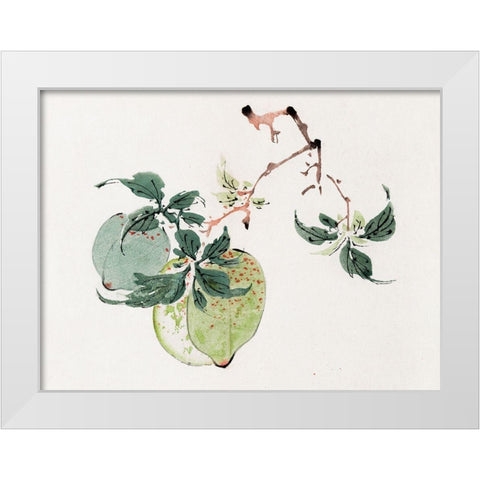 Page from Shi Zhu Zhai Green Fruit White Modern Wood Framed Art Print by Zhengyan, Hu