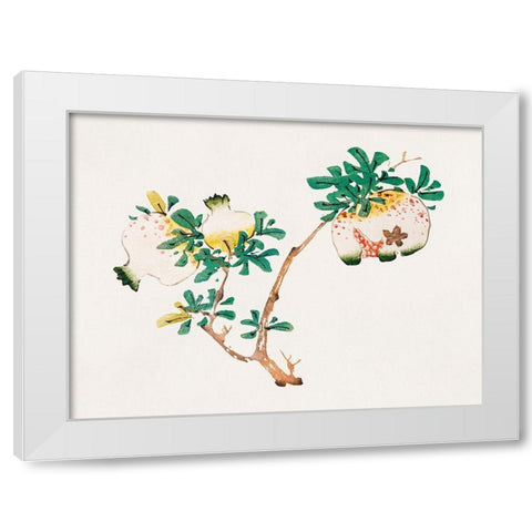 Page from Shi Zhu Zhai Pomegranite White Modern Wood Framed Art Print by Zhengyan, Hu