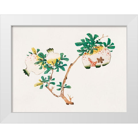 Page from Shi Zhu Zhai Pomegranite White Modern Wood Framed Art Print by Zhengyan, Hu
