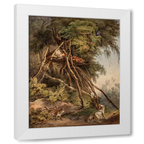 Tombs of Assiniboin indians on trees White Modern Wood Framed Art Print by Bodmer, Karl