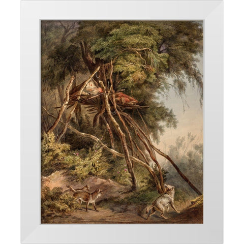 Tombs of Assiniboin indians on trees White Modern Wood Framed Art Print by Bodmer, Karl