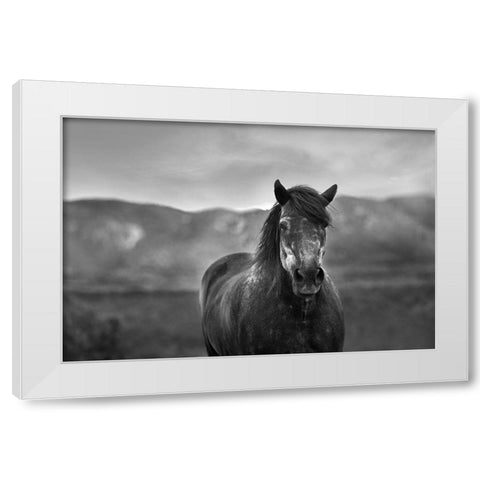 Gray Day White Modern Wood Framed Art Print by The Yellowstone Collection
