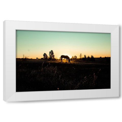 Grazing at Sunset White Modern Wood Framed Art Print by The Yellowstone Collection