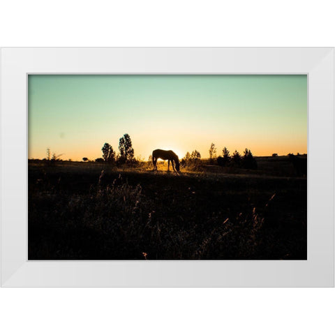 Grazing at Sunset White Modern Wood Framed Art Print by The Yellowstone Collection