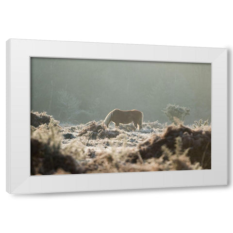 Grazing in the Shrubs White Modern Wood Framed Art Print by The Yellowstone Collection