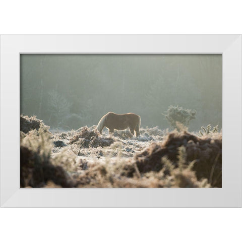 Grazing in the Shrubs White Modern Wood Framed Art Print by The Yellowstone Collection