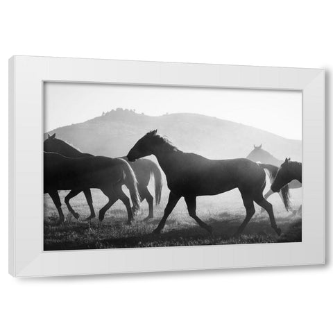 Heading Home White Modern Wood Framed Art Print by The Yellowstone Collection