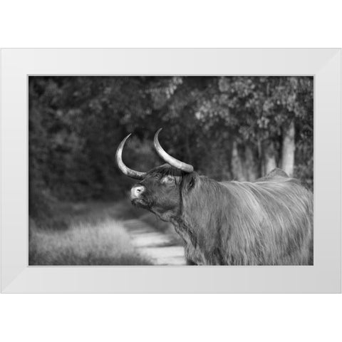 Heads Up White Modern Wood Framed Art Print by The Yellowstone Collection