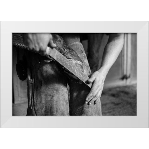 Hoof Work White Modern Wood Framed Art Print by The Yellowstone Collection