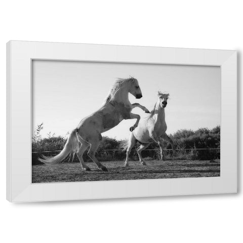 Horse Dance White Modern Wood Framed Art Print by The Yellowstone Collection