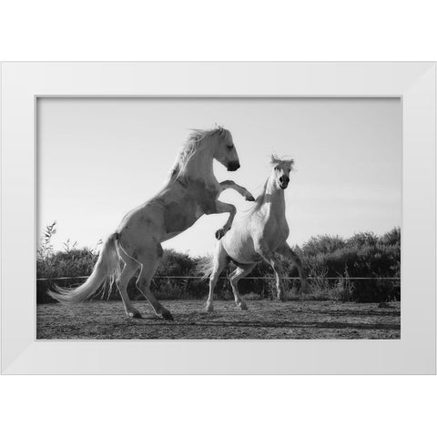 Horse Dance White Modern Wood Framed Art Print by The Yellowstone Collection