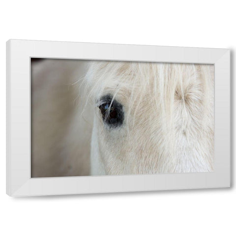 Horse Eye White Modern Wood Framed Art Print by The Yellowstone Collection
