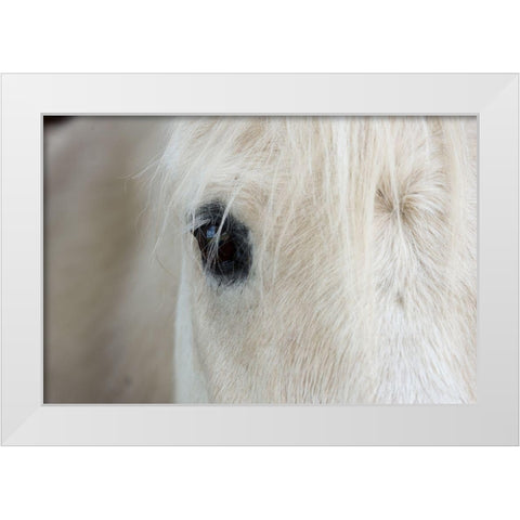 Horse Eye White Modern Wood Framed Art Print by The Yellowstone Collection