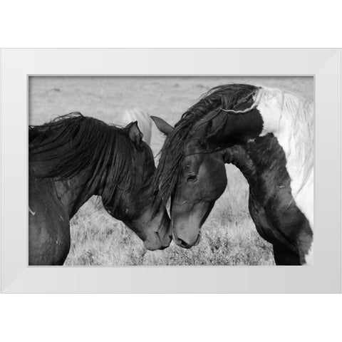 Horse Kiss White Modern Wood Framed Art Print by The Yellowstone Collection