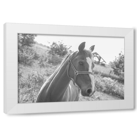Howdy White Modern Wood Framed Art Print by The Yellowstone Collection