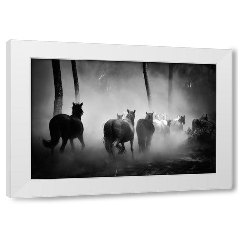 In to the Forest White Modern Wood Framed Art Print by The Yellowstone Collection