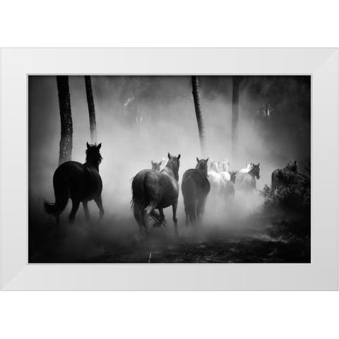 In to the Forest White Modern Wood Framed Art Print by The Yellowstone Collection