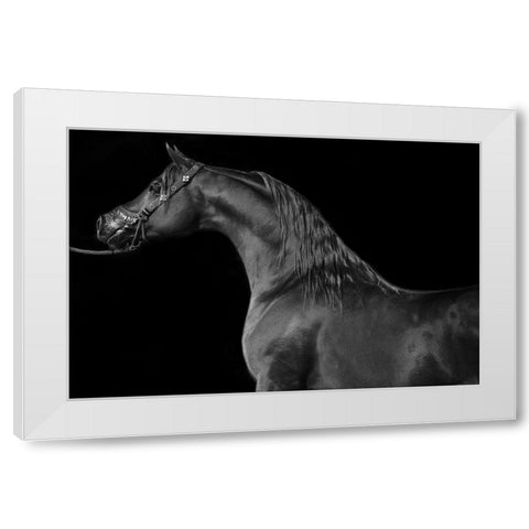 Majestic White Modern Wood Framed Art Print by The Yellowstone Collection